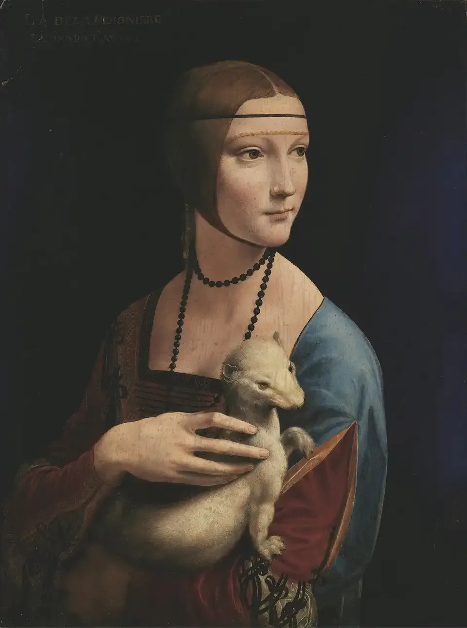 lady, da vinci