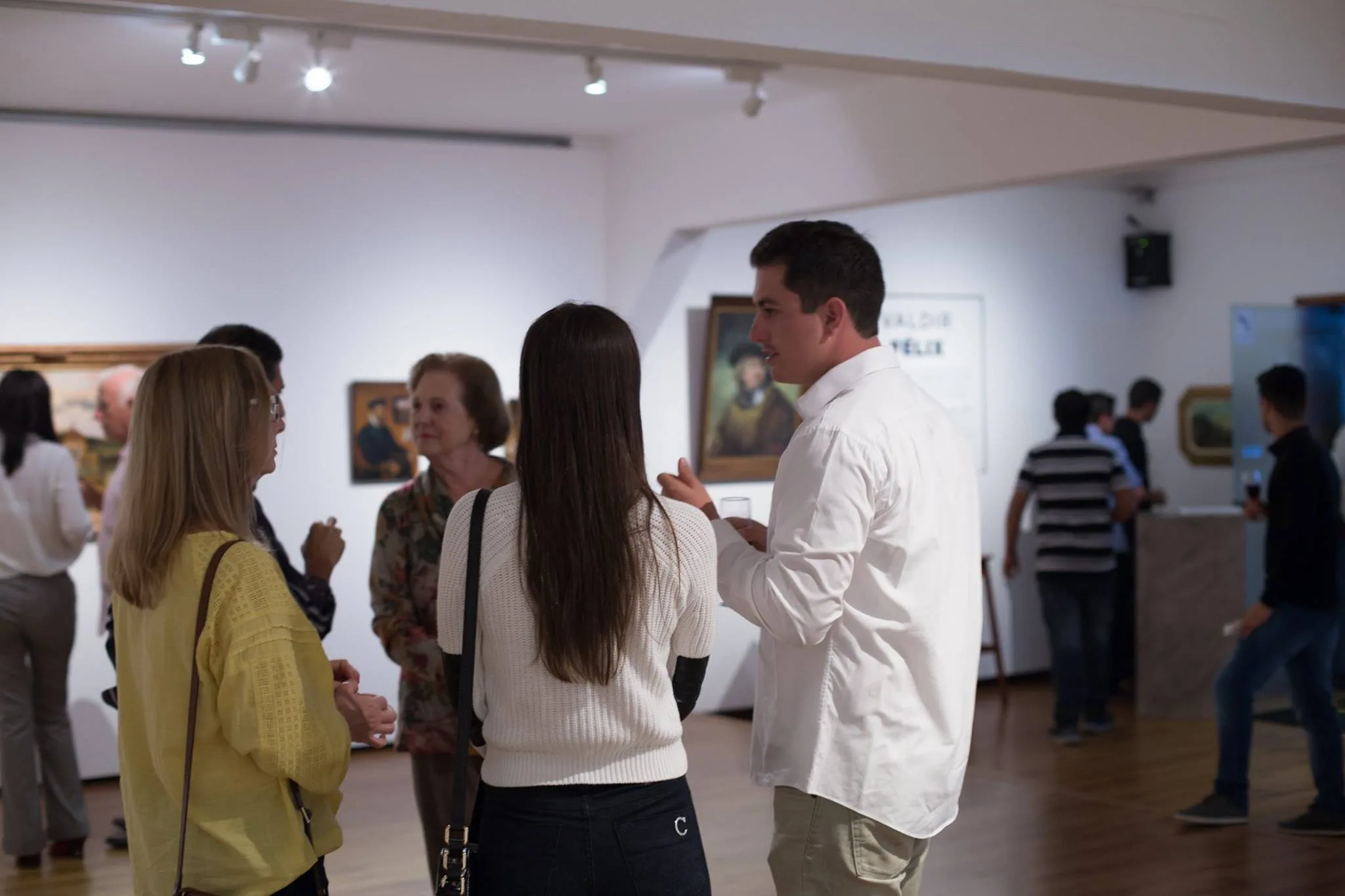 Vernissage | Valdir Félix — imagem da galeria
